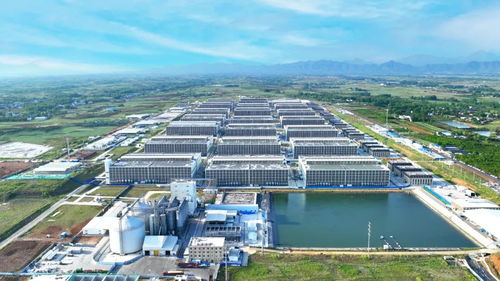 逐綠而行 河南加快構建廢棄物循環利用體系 投資興辦實業